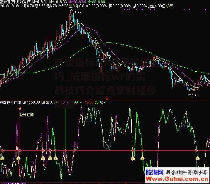 威廉指标wr的实战技巧_威廉指标wr的实战技巧介绍点掌财经移动端