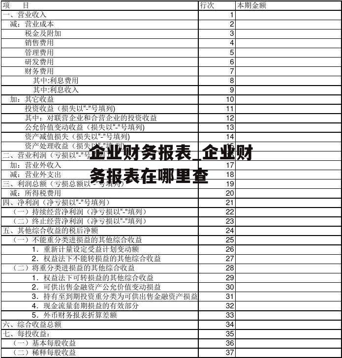 企业财务报表_企业财务报表在哪里查