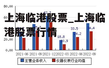 上海临港股票_上海临港股票行情