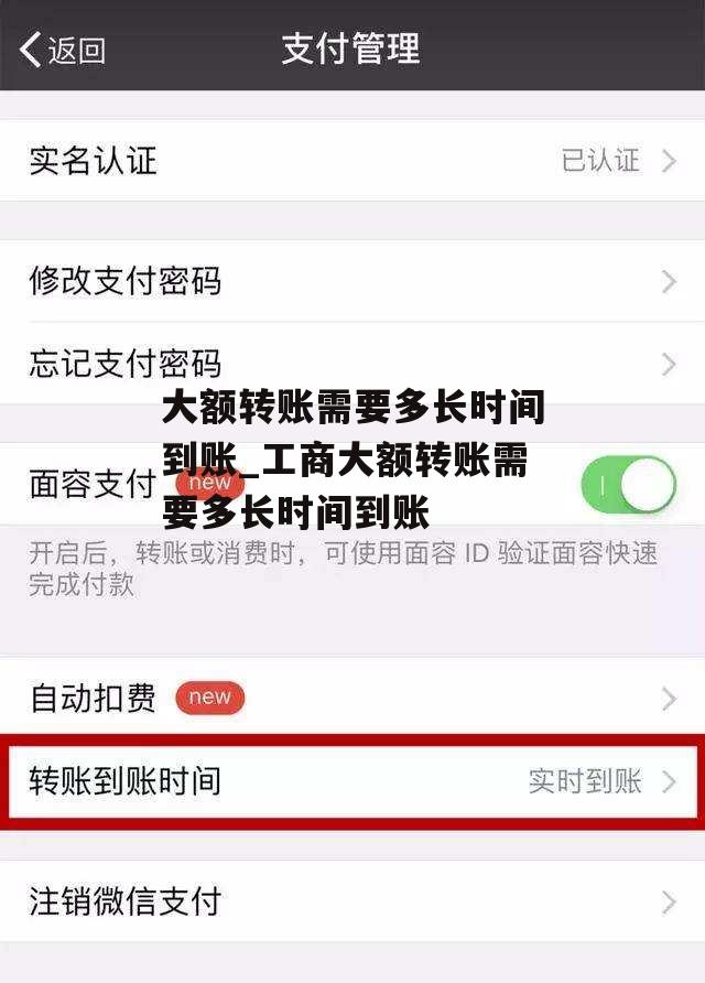 大额转账需要多长时间到账_工商大额转账需要多长时间到账