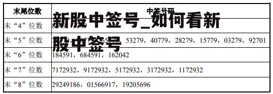 新股中签号_如何看新股中签号