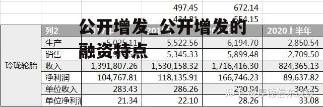 公开增发_公开增发的融资特点