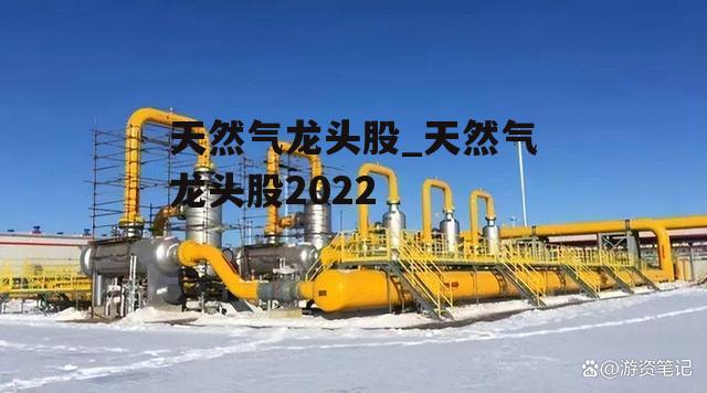 天然气龙头股_天然气龙头股2022