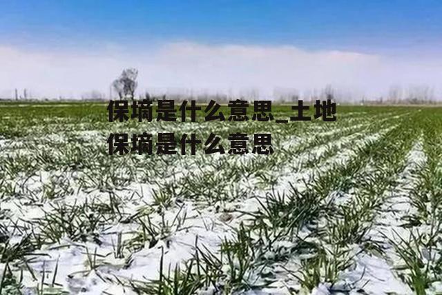 保墒是什么意思_土地保墒是什么意思