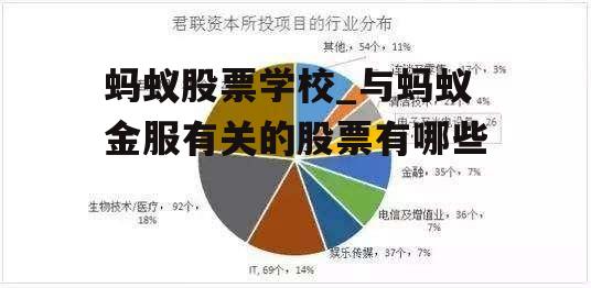 蚂蚁股票学校_与蚂蚁金服有关的股票有哪些