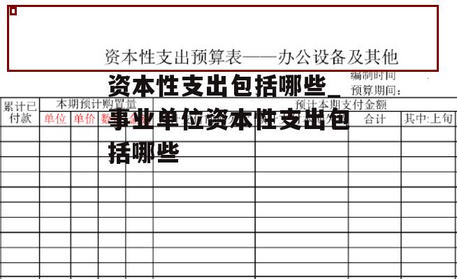 资本性支出包括哪些_事业单位资本性支出包括哪些