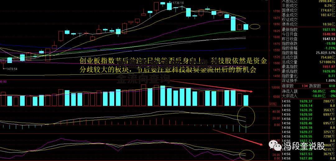 大盘资金流向_大盘资金流向查询