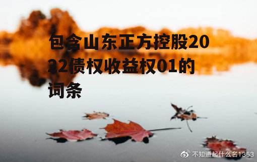 包含山东正方控股2022债权收益权01的词条