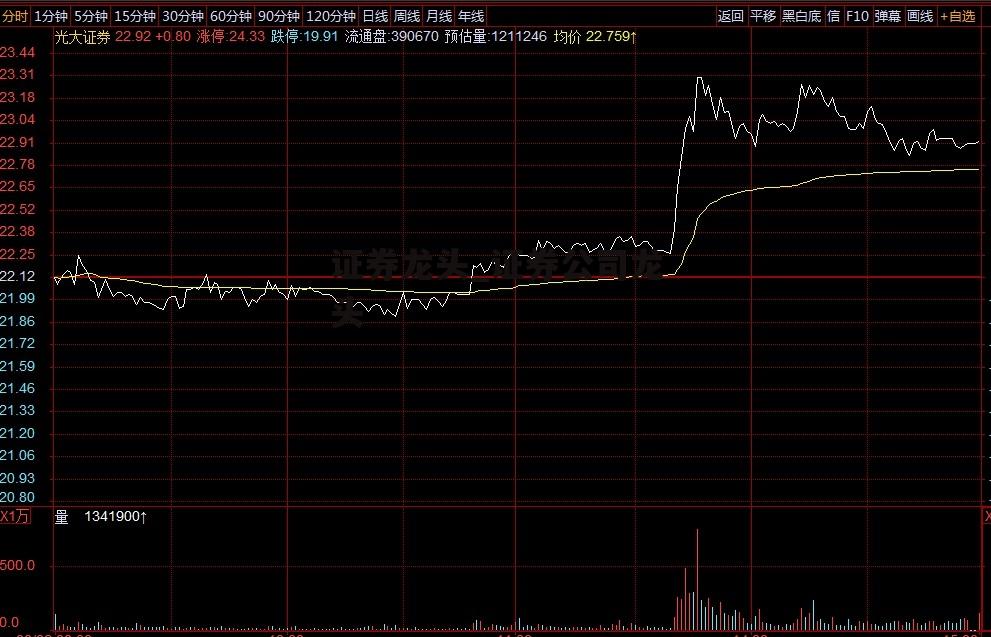 证券龙头_证券公司龙头