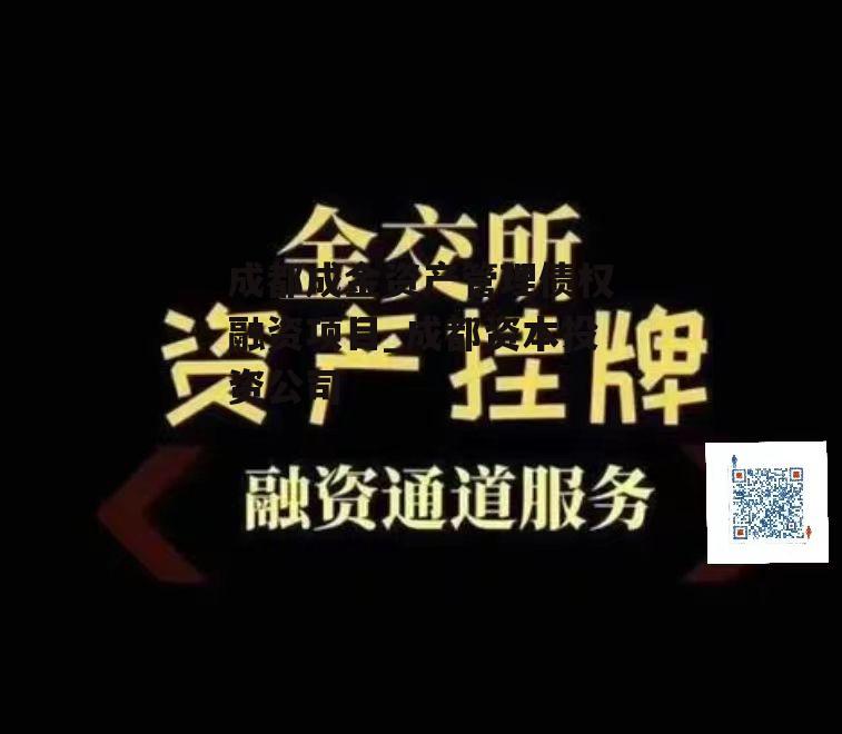 成都成金资产管理债权融资项目_成都资本投资公司