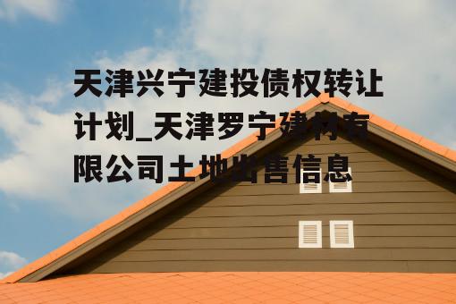 天津兴宁建投债权转让计划_天津罗宁建材有限公司土地出售信息