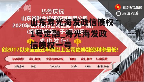 山东寿光海发政信债权1号定融_寿光海发政信债权一号