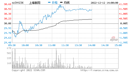 上海新阳股票_上海新阳股票行情