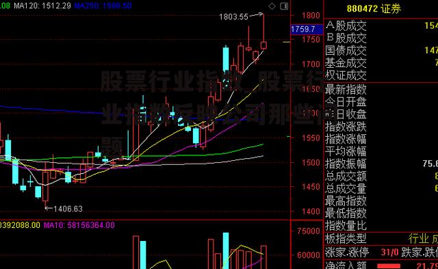 股票行业指数_股票行业指数反映公司那些问题