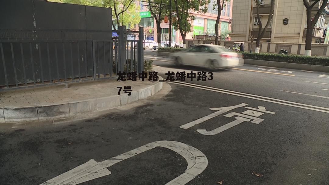 龙蟠中路_龙蟠中路37号