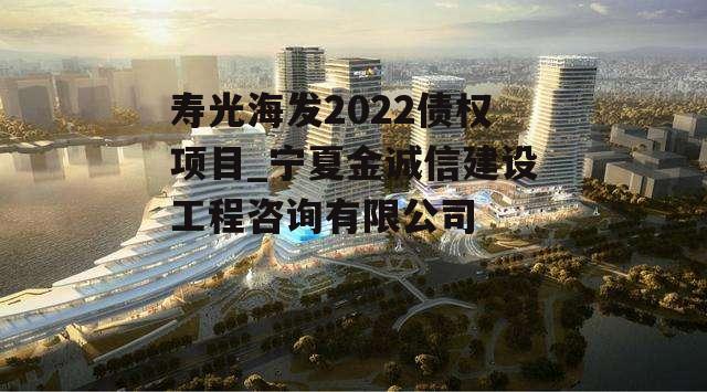 寿光海发2022债权项目_宁夏金诚信建设工程咨询有限公司