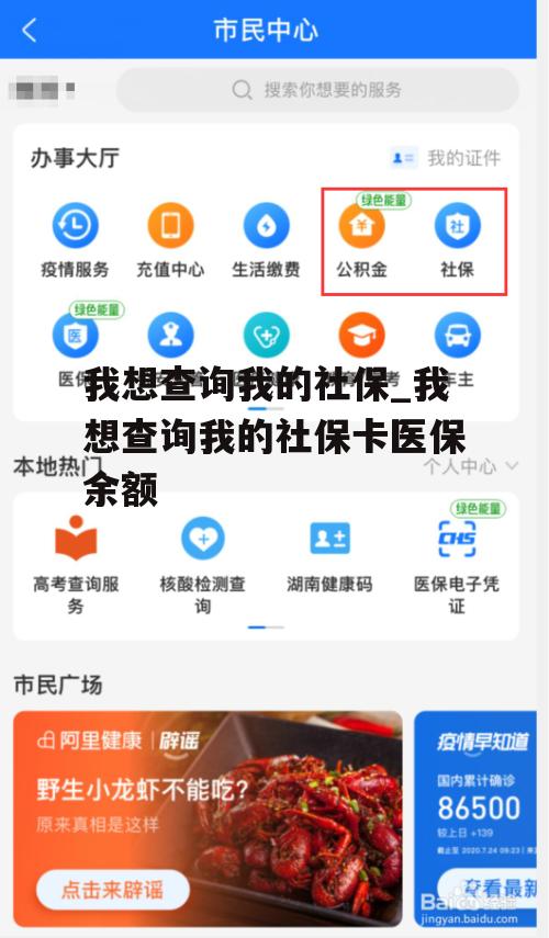 我想查询我的社保_我想查询我的社保卡医保余额