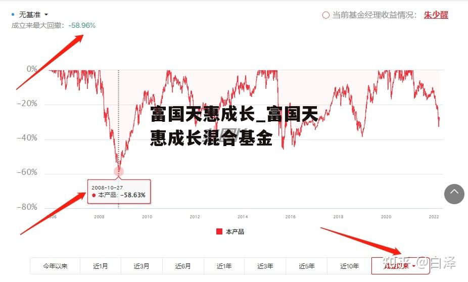 富国天惠成长_富国天惠成长混合基金