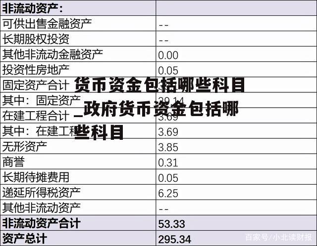 货币资金包括哪些科目_政府货币资金包括哪些科目