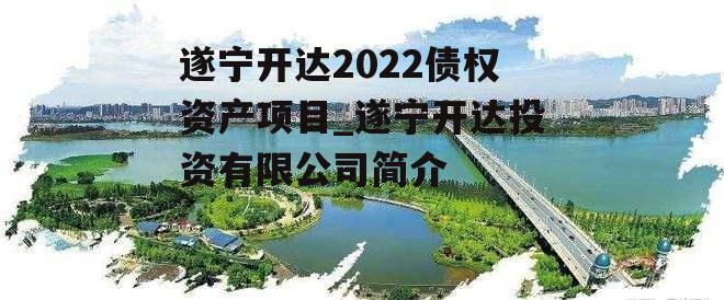 遂宁开达2022债权资产项目_遂宁开达投资有限公司简介