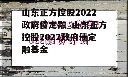 山东正方控股2022政府债定融_山东正方控股2022政府债定融基金