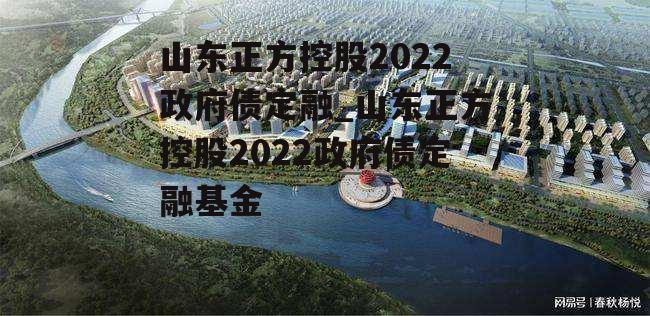 山东正方控股2022政府债定融_山东正方控股2022政府债定融基金