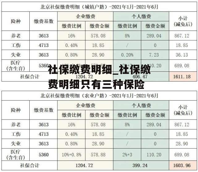 社保缴费明细_社保缴费明细只有三种保险