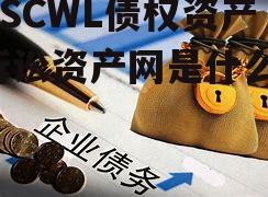 ZCSCWL债权资产_诉讼资产网是什么意思