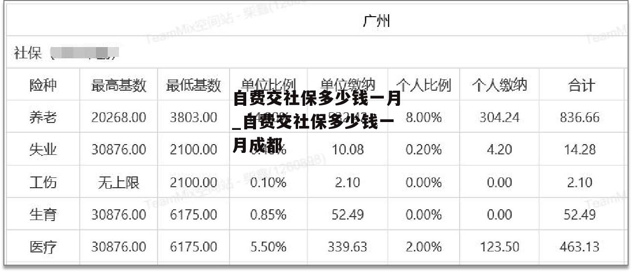 自费交社保多少钱一月_自费交社保多少钱一月成都