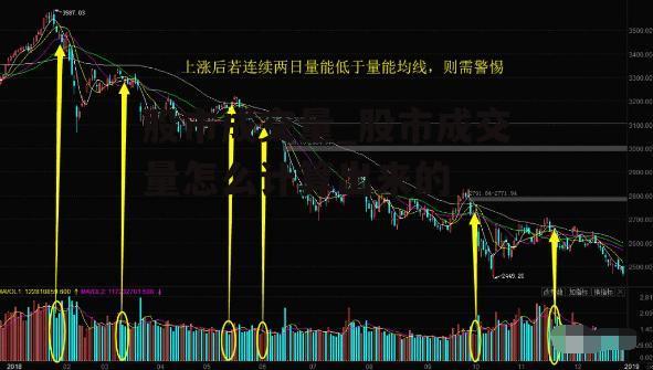 股市成交量_股市成交量怎么计算出来的