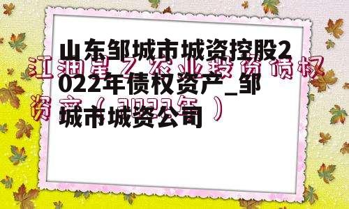 山东邹城市城资控股2022年债权资产_邹城市城资公司