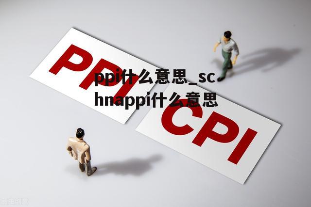 ppi什么意思_schnappi什么意思