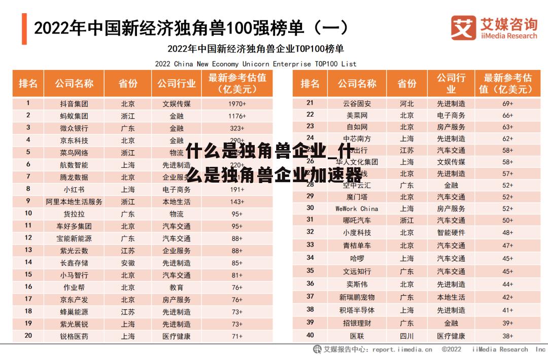 什么是独角兽企业_什么是独角兽企业加速器