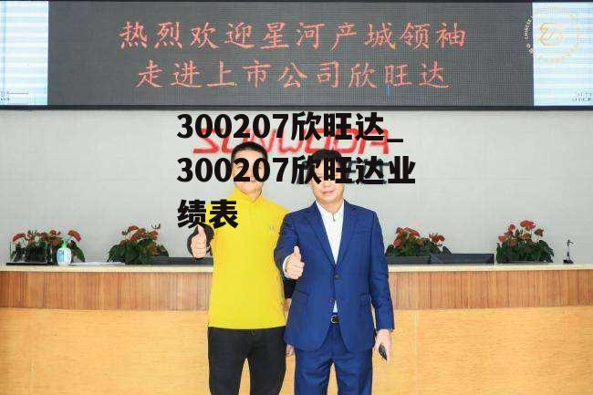 300207欣旺达_300207欣旺达业绩表