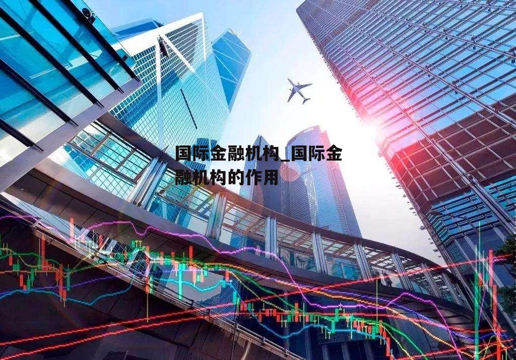 国际金融机构_国际金融机构的作用