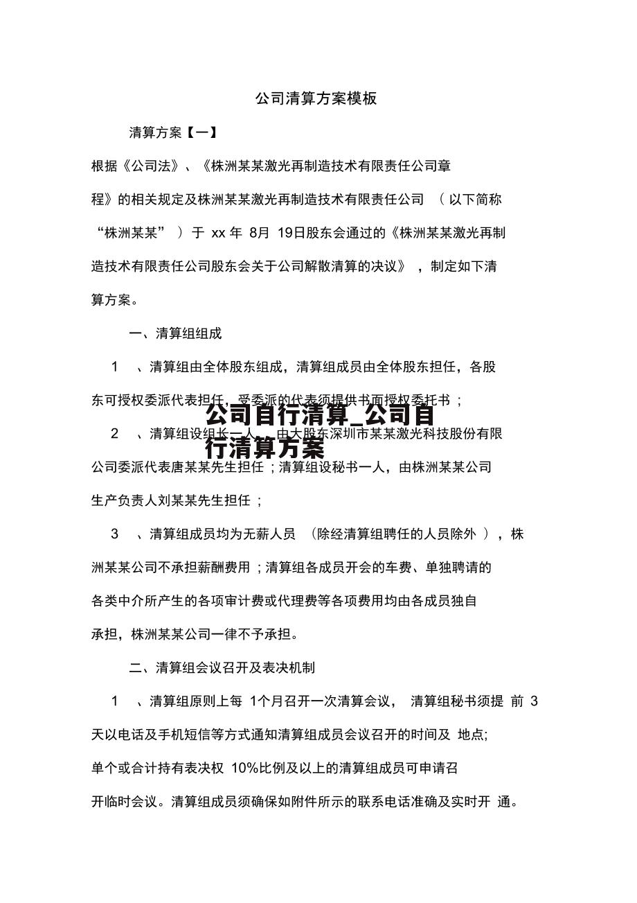 公司自行清算_公司自行清算方案