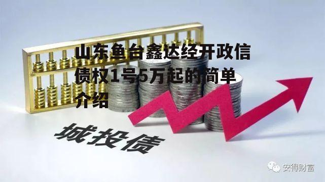 山东鱼台鑫达经开政信债权1号5万起的简单介绍