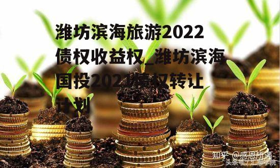 潍坊滨海旅游2022债权收益权_潍坊滨海国投2021债权转让计划