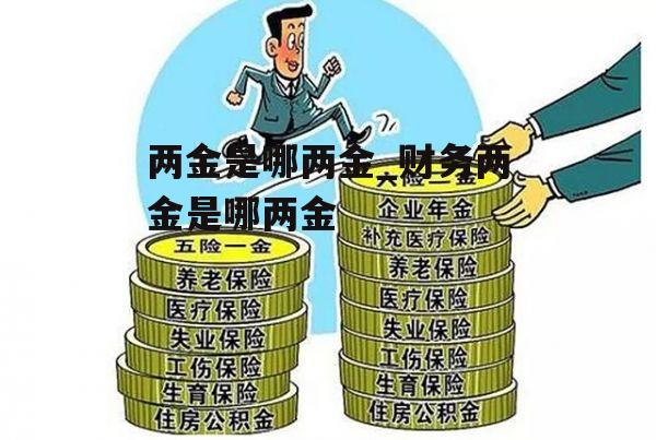 两金是哪两金_财务两金是哪两金