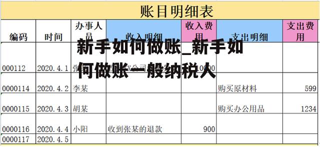 新手如何做账_新手如何做账一般纳税人