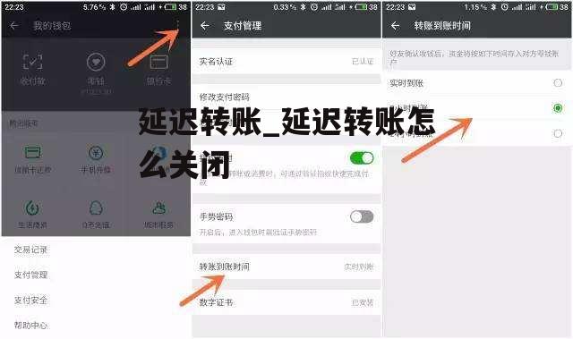 延迟转账_延迟转账怎么关闭