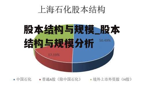 股本结构与规模_股本结构与规模分析