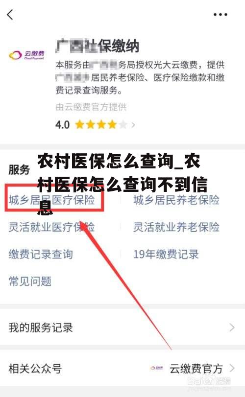 农村医保怎么查询_农村医保怎么查询不到信息
