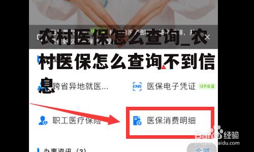 农村医保怎么查询_农村医保怎么查询不到信息
