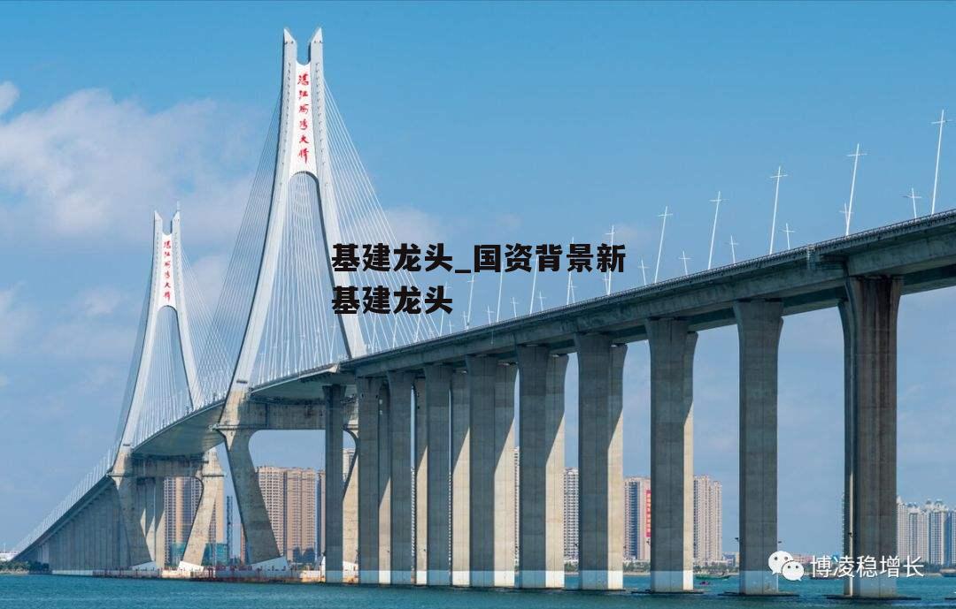 基建龙头_国资背景新基建龙头