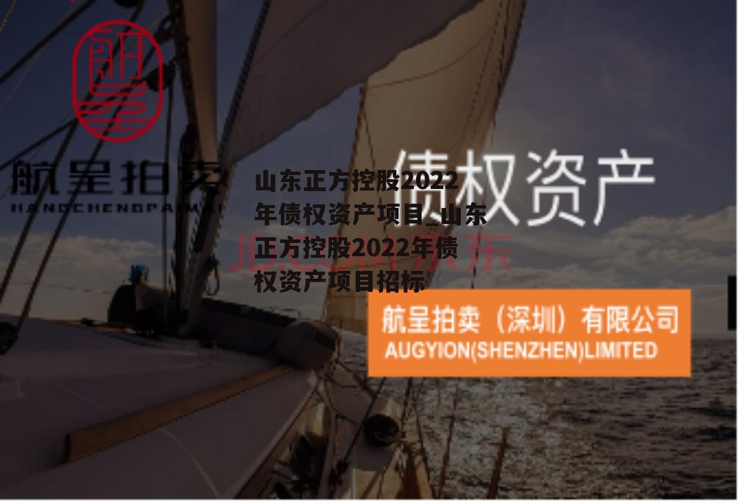 山东正方控股2022年债权资产项目_山东正方控股2022年债权资产项目招标