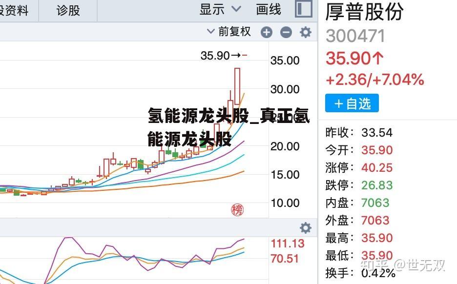 氢能源龙头股_真正氢能源龙头股