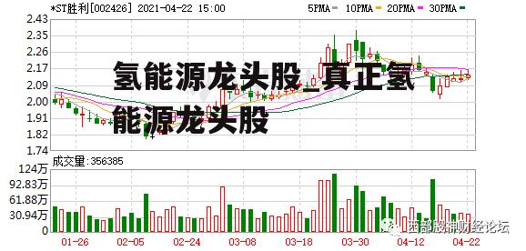 氢能源龙头股_真正氢能源龙头股