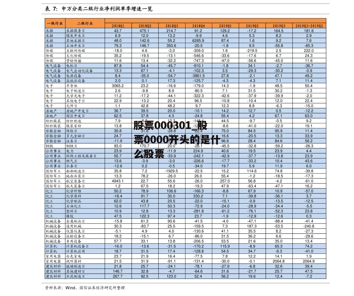 股票000301_股票0000开头的是什么股票