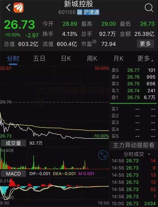 武汉控股股票的简单介绍